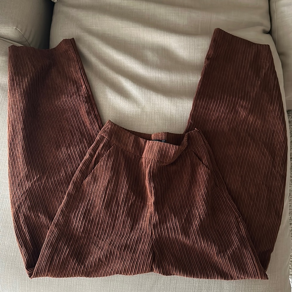 Velvet pants. Never worn